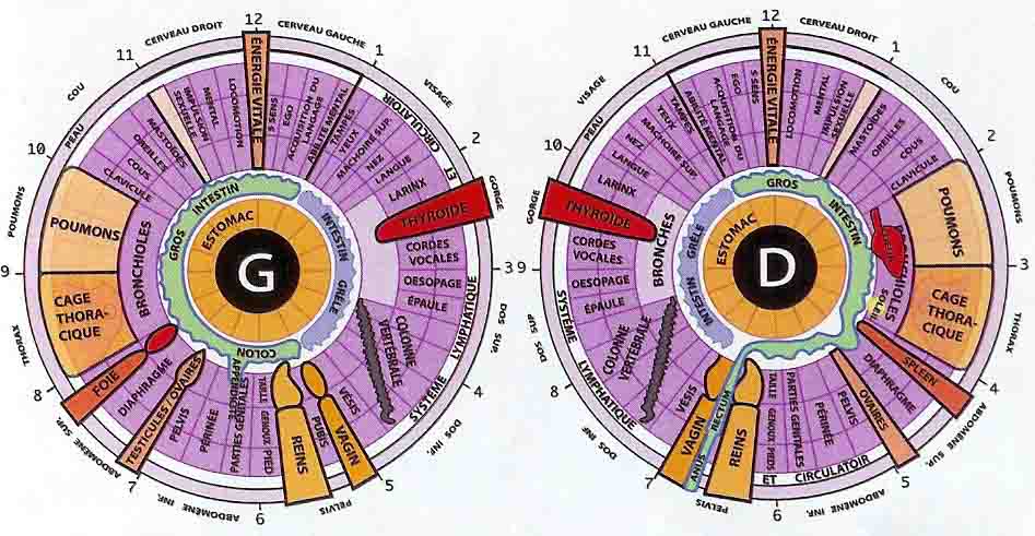 iridologie-normandie-carte
