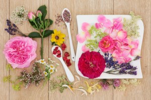 Natural herbal medicine flower and herb selection over oak background.